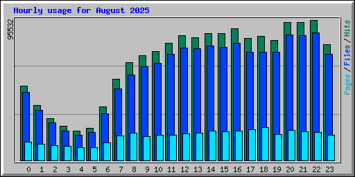 Hourly usage for August 2025